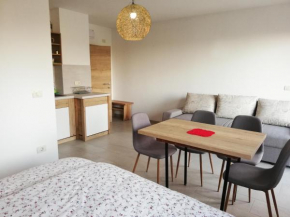 Apartments Rant Bled